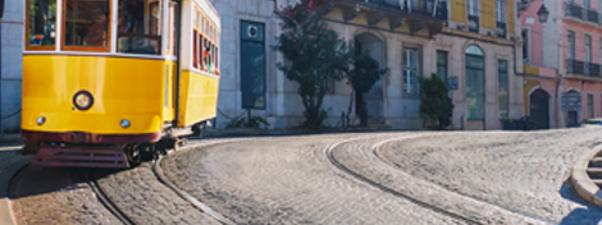 Português A1.1